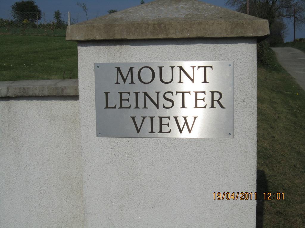Вилла Mount Leinster View Банклоди Номер фото